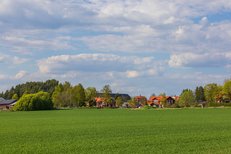 Beautiful view of agricultural fields with seedlings on outskirts of village. Sweden.の写真素材