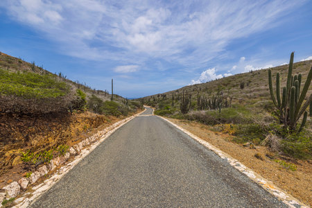 View of desert of National Park Arikok on island of Aruba with asphalt road for vehicles. Aruba island.の写真素材