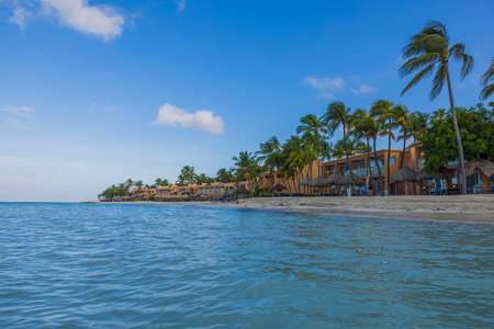 Gorgeous view of hotel private beach. Ocean  and white sand beach on green palm trees and blue sky background.  Aruba.のeditorial素材