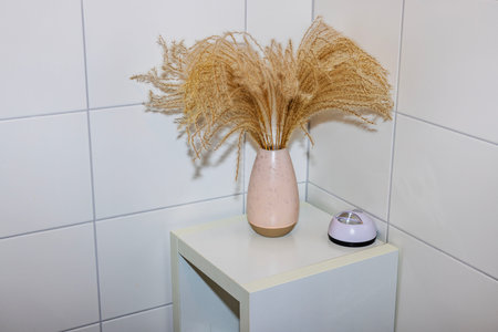 Interior of bathroom with white walls and vase with cute dry flowers in corner. Sweden.の写真素材