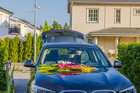 Close-up view of car with open trunk and colorful gladiolus flowers lying on hood on summer sunny day.の写真素材
