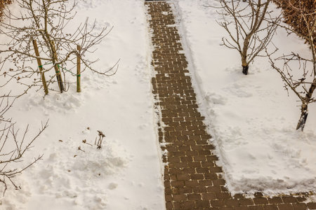 Beautiful winter view from above of villa's private garden with snow-cleared path made of gray paving slabs.の写真素材