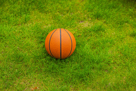 Close-up macro view of basketball on green grass lawn isolated.の写真素材