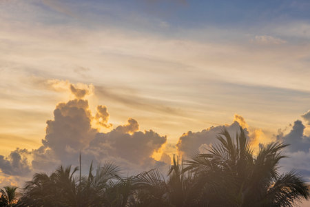 Beautiful view of hazy blue sky with white clouds during sunrise over Atlantic Ocean with palm trees in background. Miami Beach. USA.の写真素材