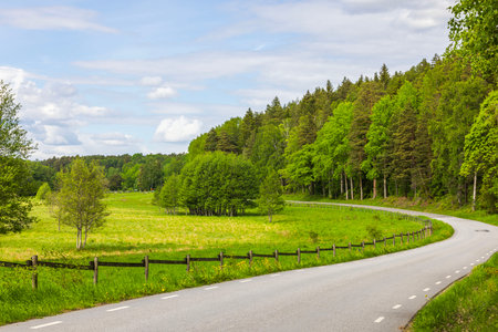 Beautiful view of asphalt road running along forests and fields.の写真素材