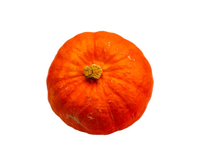 Close up view of pumpkin isolated on white background. Halloween concept.の写真素材