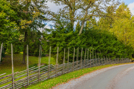 View of landscape featuring countryside road and private property with vibrant green-yellow trees and wooden old style country-style fence.の写真素材