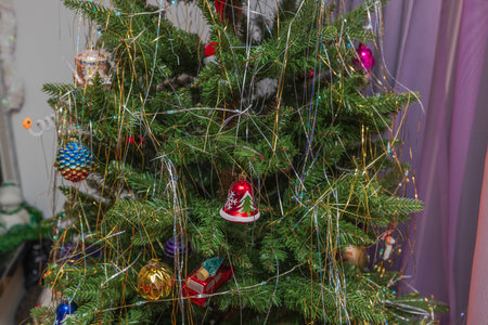 Beautiful view of decorated Christmas tree in apartment.の写真素材