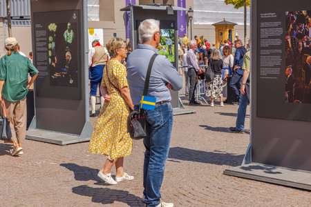 People in center of Stockholm celebrating Sweden's National Day. Sweden. Stockholm.のeditorial素材