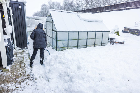 View of woman shoveling snow in garden on winter day.の写真素材