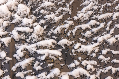 Close-up view of the texture of snow covering black fabric of furniture cover material.の写真素材