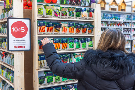 Close-up view of woman choosing carrot seed packets on shelves in garden store. Concept of gardening.のeditorial素材