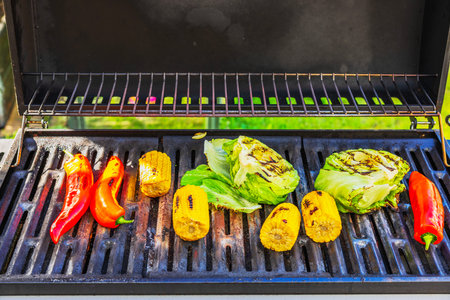 Close-up of vegetables grilling on a gas barbecue in the backyard of a villa.の写真素材