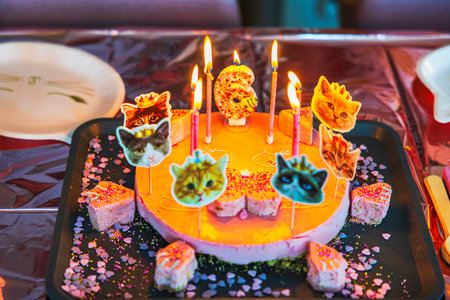 Close-up view of cat-themed cake with lit candles for a child's 6th birthday celebration.