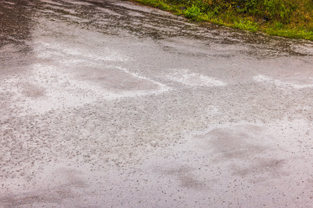 Wet asphalt road with raindrops during rainfall with grassy verge on side.の写真素材