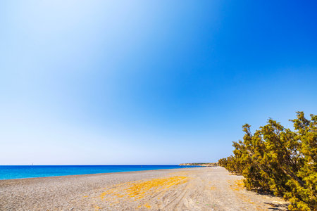 Sunny beach landscape with clear blue sky, calm turquoise water and sandy shore lined with green bushes on bright day. Crete.の写真素材
