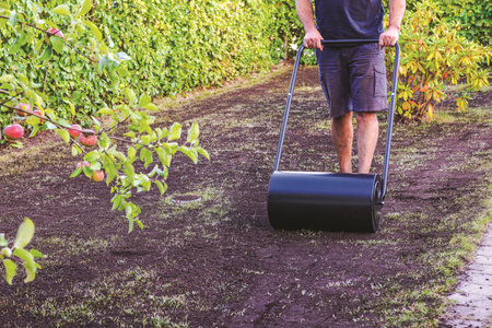 Man using lawn roller to compact soil on repaired lawn in his garden.の写真素材