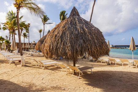 Empty tropical beach with straw umbrellas and tall palm trees under bright, sunny sky on island of Curacao.の写真素材