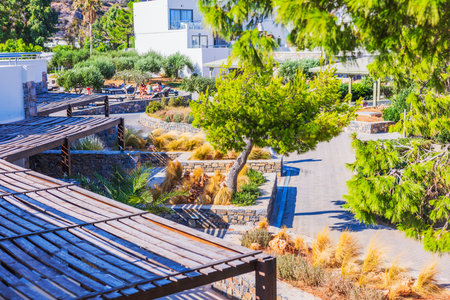 Terrace hotel with wooden pergola and paved walkway surrounded by greenery and modern buildings. Crete. Greece.のeditorial素材