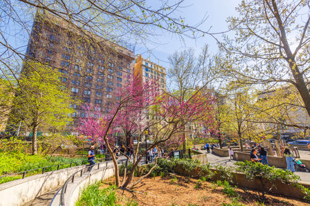 Visitors enjoying a vibrant spring day at Central Park's Ancient Playground with blooming trees and urban backdrop. New York. USA.のeditorial素材