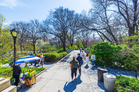 Visitors walking along scenic path in Central Park on sunny spring day, with street vendor nearby. New York. USA.のeditorial素材