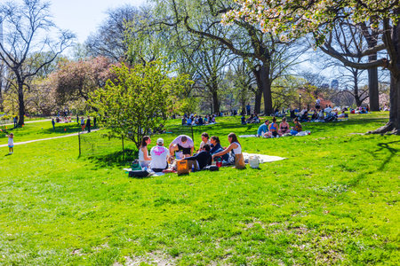 Friends enjoying picnic on vibrant green lawn of Central Park during sunny spring day. New York. USA.のeditorial素材