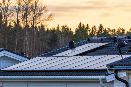 Modern villa rooftop with solar panels at sunset against trees silhouetted in background.