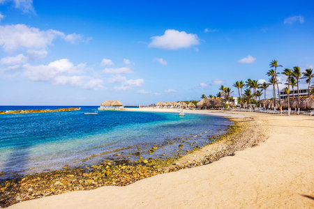 Tropical beach hotel in Curacao with palm trees, turquoise water, sandy shore and huts under bright blue sky.の写真素材