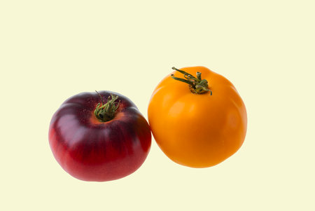 Purple and yellow heirloom tomatoes isolated on light background with vibrant colors and natural texture.の写真素材