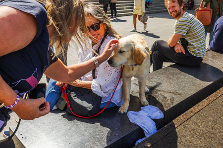 Woman petting golden retriever dog sitting next to an older woman with red leash on sunny day in public space. New York. USA.のeditorial素材