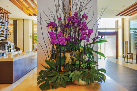 Elegant floral arrangement with vibrant purple orchids and lush green leaves in golden pots on marble surface in luxury hotel lobby.の写真素材