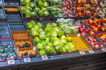 Fresh green lettuce and ripe avocados displayed on grocery store vegetable shelves.のeditorial素材