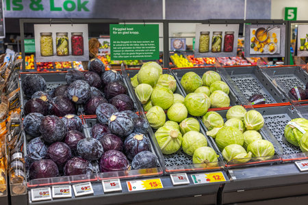 Fresh display of red and green cabbage in grocery store vegetable section with price tags and informational signage.のeditorial素材