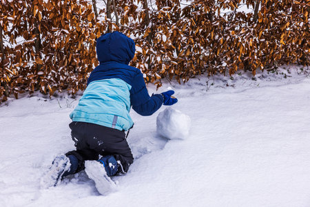 Child in blue winter jacket kneeling on snow-covered ground, rolling snowball near hedge during snowy winter day. Sweden.の写真素材