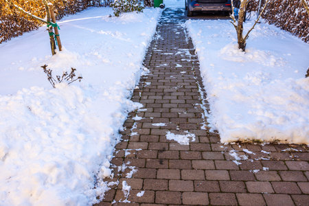 Brick garden pathway cleared of snow, leading to parked car, surrounded by snow-covered trees and shrubs.の写真素材