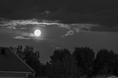 Full moon illuminating cloudy night sky above silhouetted trees and rooftops in black and white.の写真素材