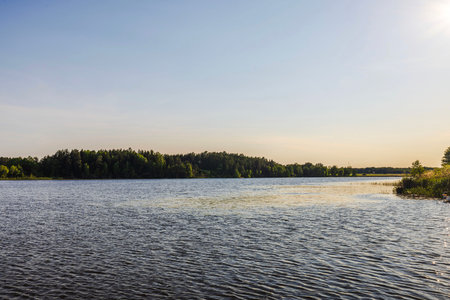 Calm lake and green forested shoreline under clear evening sky. Sweden.の写真素材