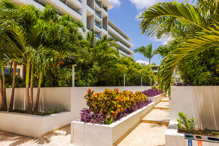 Tropical hotel garden with green palm trees, vibrant plants and modern white architecture under bright sunlight. Curacao.の写真素材