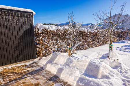 Snow-covered patio of villa with paved walkway, leafless trees and black wooden shed on sunny winter day. Sweden.の写真素材