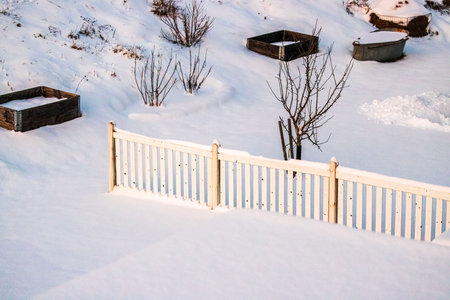 Snow-covered wooden fence and winter garden with leafless trees and raised garden beds in rural landscape.の写真素材