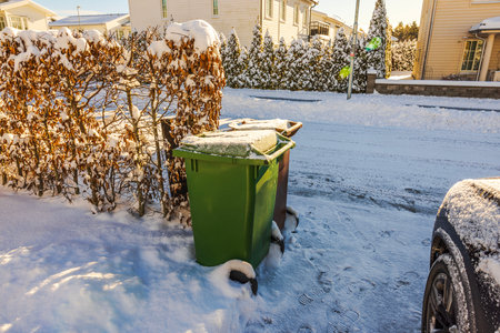 Green and brown garbage bins covered with snow standing near hedge on winter morning in residential area. Sweden.の写真素材