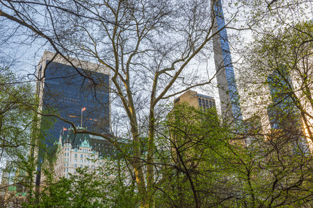 View of skyscrapers behind trees in Central Park Manhattan during spring with green foliage and modern glass buildings.の写真素材