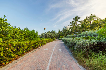 Scenic view of Miami Beach Walking Street with palm trees and tropical greenery along Atlantic Ocean coastline during sunset. USA.の写真素材