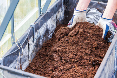 Person adding bagged soil into garden bed inside greenhouse using gloves for planting preparation....
