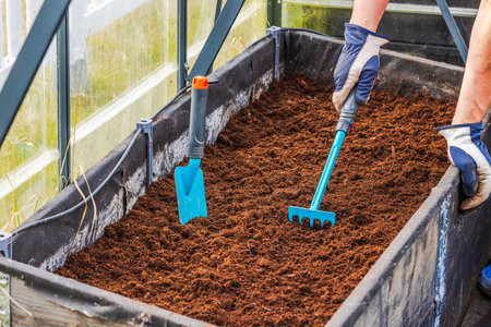 Person loosening prepared soil in greenhouse planting bed using small rake and garden trowel. Sweden.の写真素材