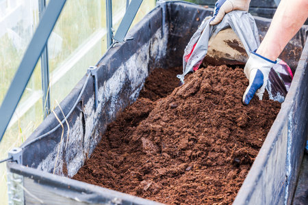 Person pouring soil from bag into raised greenhouse bed during preparation for planting vegetables.の写真素材