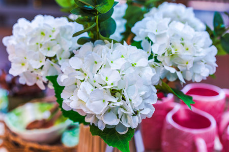 Close up view of artificial white hydrangea flowers with green leaves in decorative indoor display. Sweden.の写真素材
