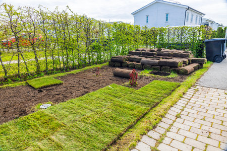 Spring garden with stacked sod rolls, prepared soil and peony bushes during lawn installation.の写真素材