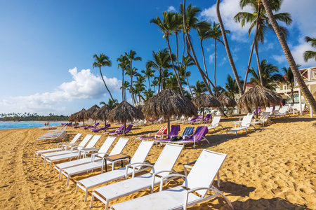 White loungers and straw umbrellas on clean sand with palm trees near Atlantic Ocean coastline. Dominican Republic. Punta Cana.の写真素材