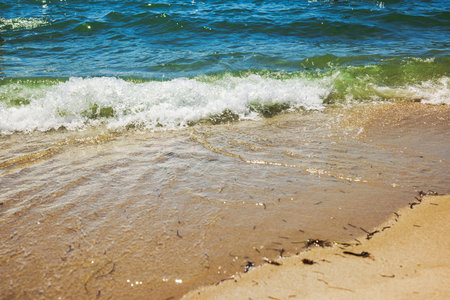 Close up view of small wave rolling onto golden sand at Miami Beach in bright sunlight.の写真素材
